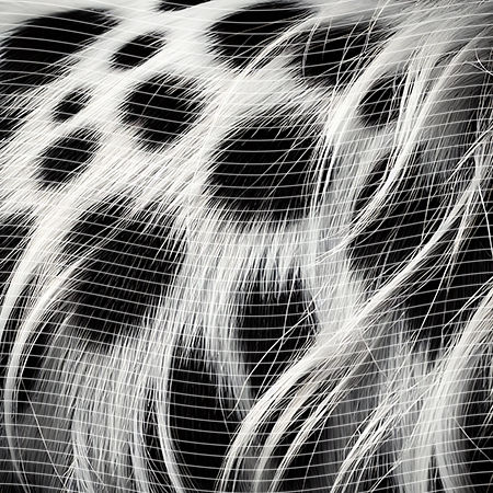 20oz integrate-EJ-7191